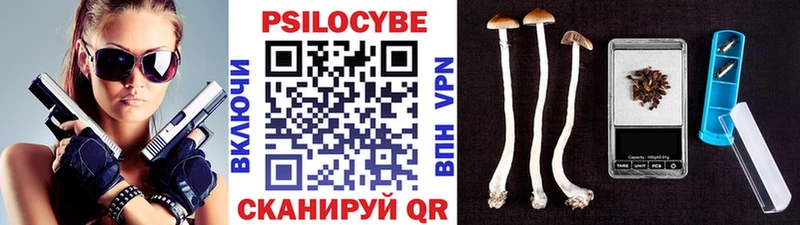 Галлюциногенные грибы Psilocybe Жигулёвск